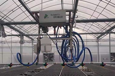 Lauko naudojimo atvejai Pietų Afrikoje